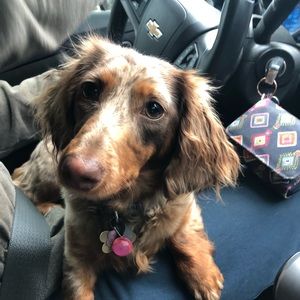 Meet your Posher, Sami